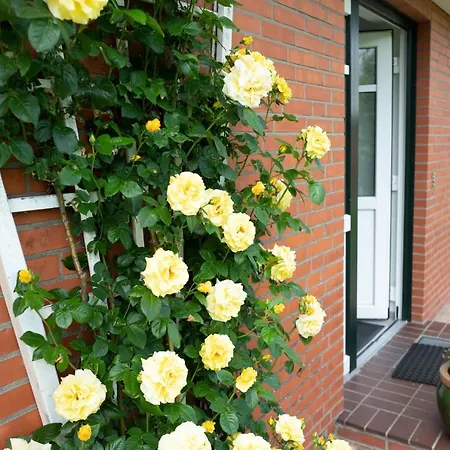 Haus Koelfhamm * Sankt Peter-Ording