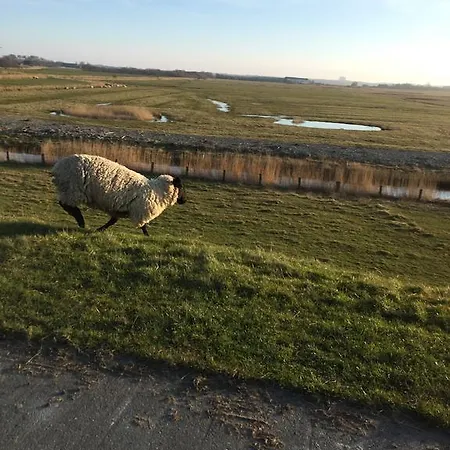 Haus Koelfhamm * Sankt Peter-Ording