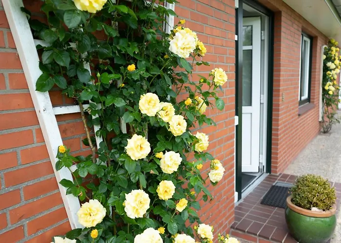 Haus Koelfhamm * Sankt Peter-Ording