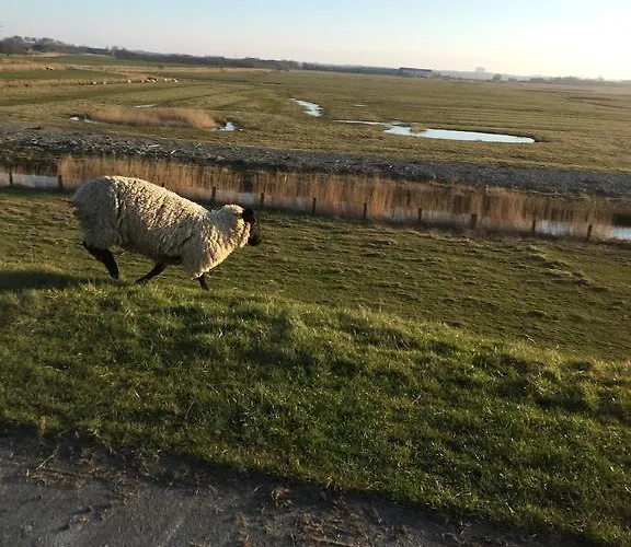 Haus Koelfhamm * Sankt Peter-Ording