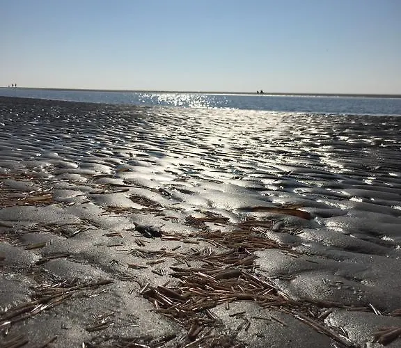 Haus Koelfhamm Sankt Peter-Ording
